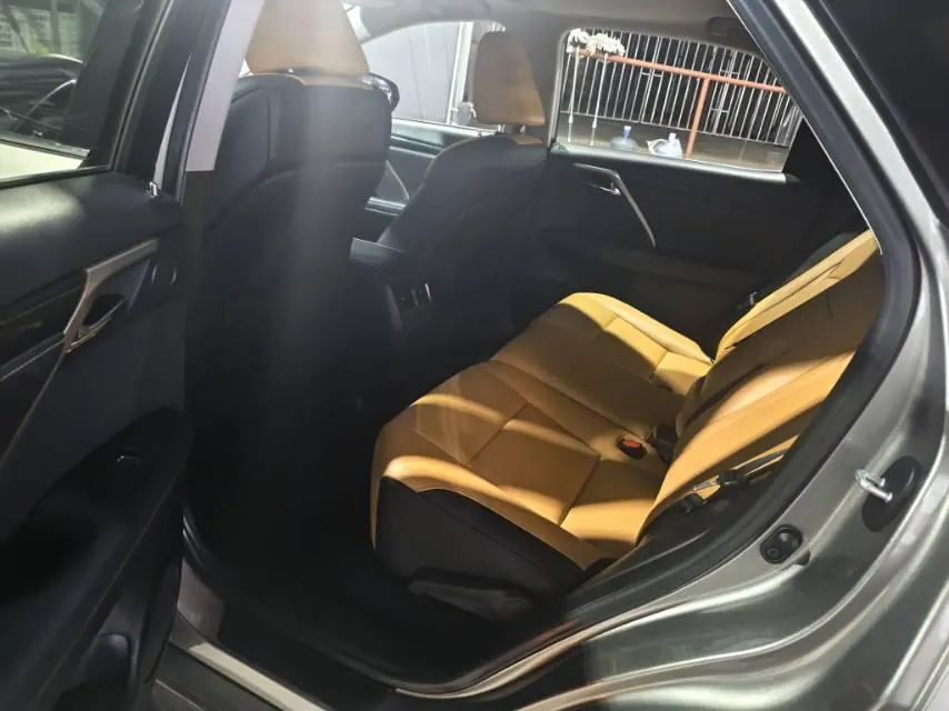 Lexus RX (Imported) 2020 RX300 2.0T Two-Drive Elite Automatic Gear 3
