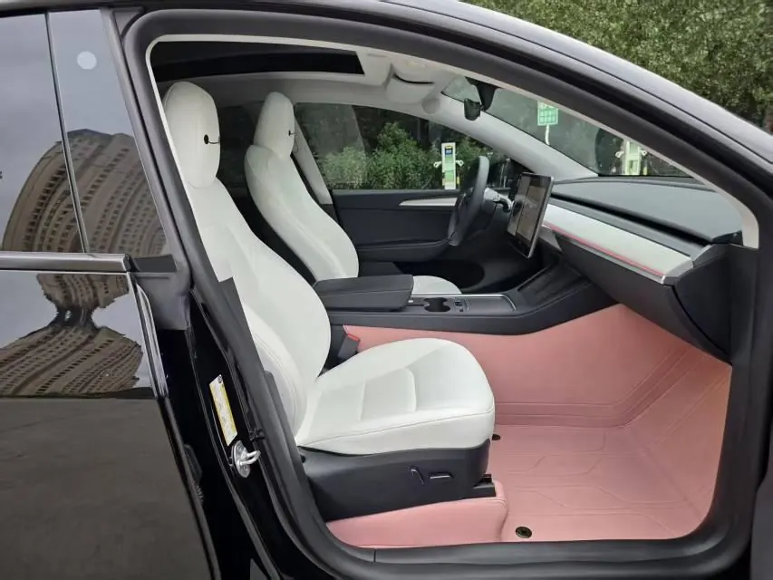 Tesla 2023 Model Y rear-wheel drive version automatic transmission 6