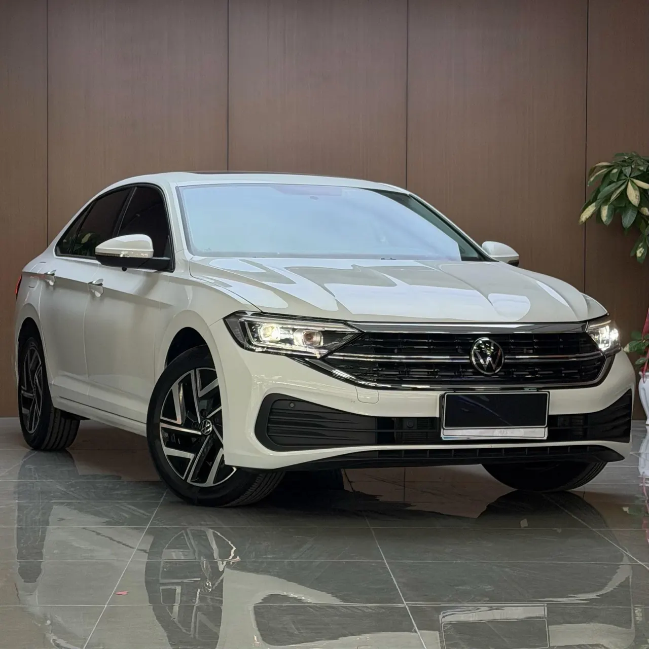 Volkswagen 2025 Sagittarius 1.5TSI 300TSI Exceed Edition (Modified) Automatic Gear 12