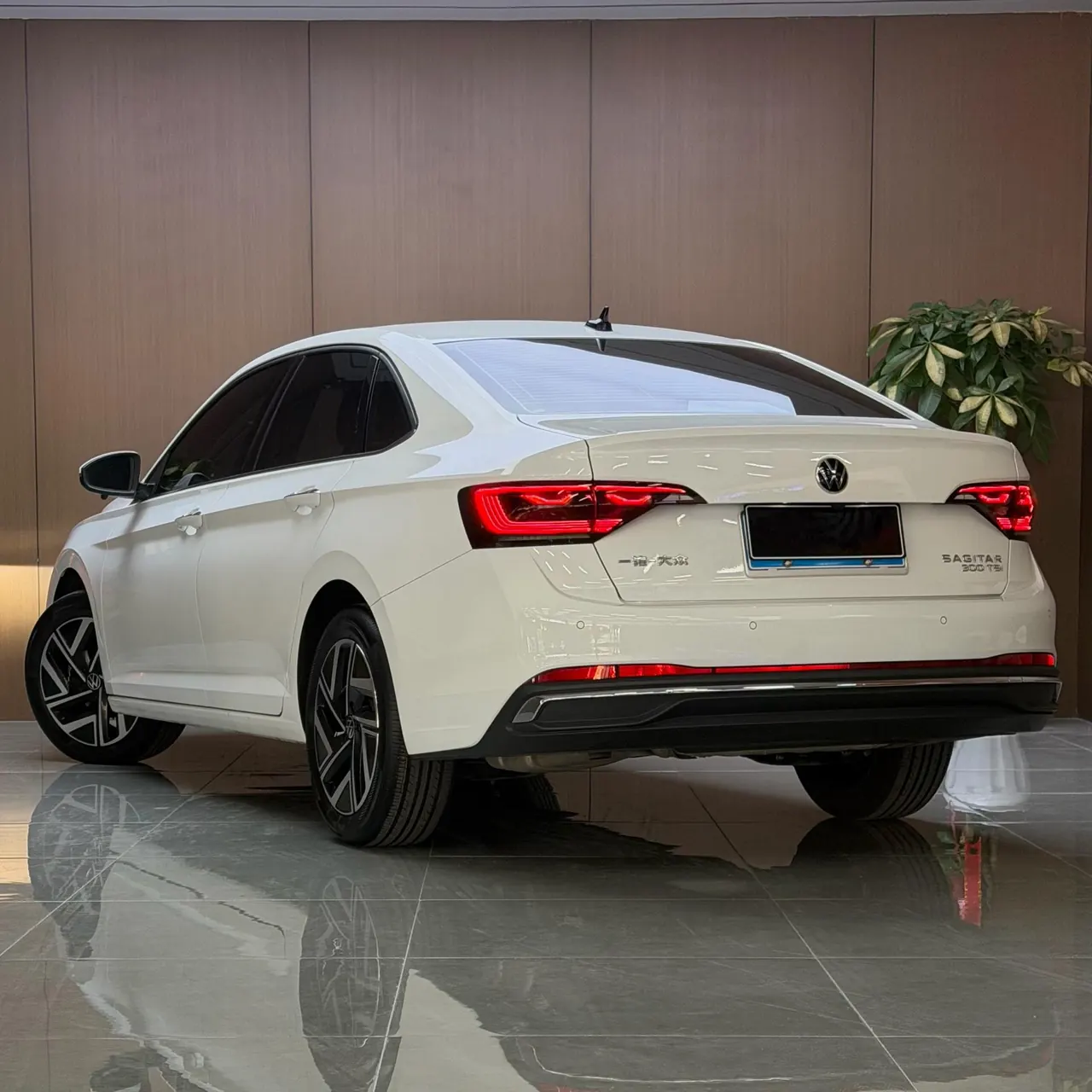 Volkswagen 2025 Sagittarius 1.5TSI 300TSI Exceed Edition (Modified) Automatic Gear 14