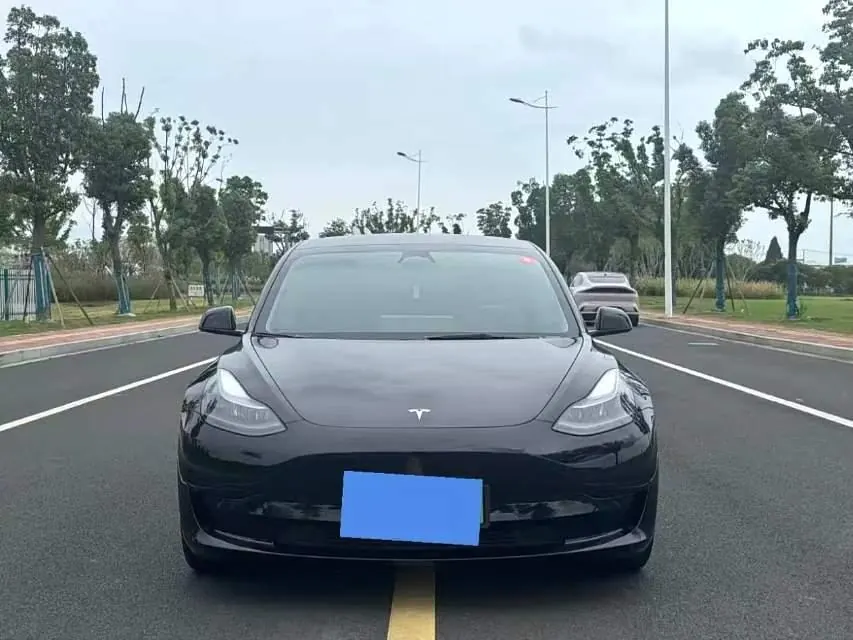Tesla 2021 Model 3 Standard Endurance Rear Drive Upgraded Automatic Gear 2