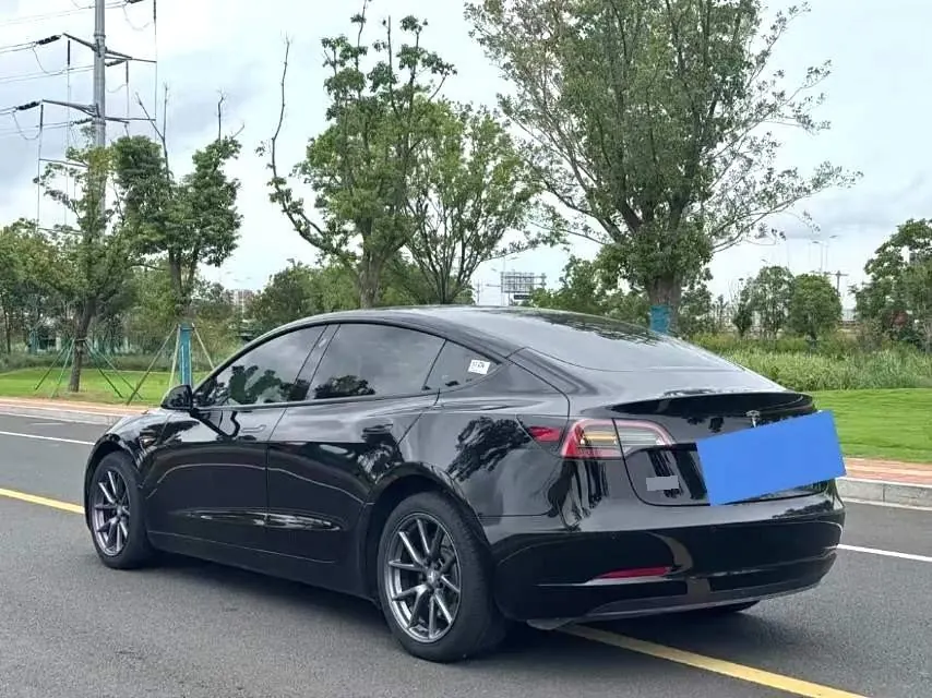 Tesla 2021 Model 3 Standard Endurance Rear Drive Upgraded Automatic Gear 3