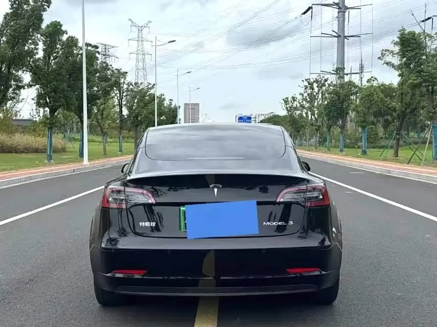 Tesla 2021 Model 3 Standard Endurance Rear Drive Upgraded Automatic Gear 4