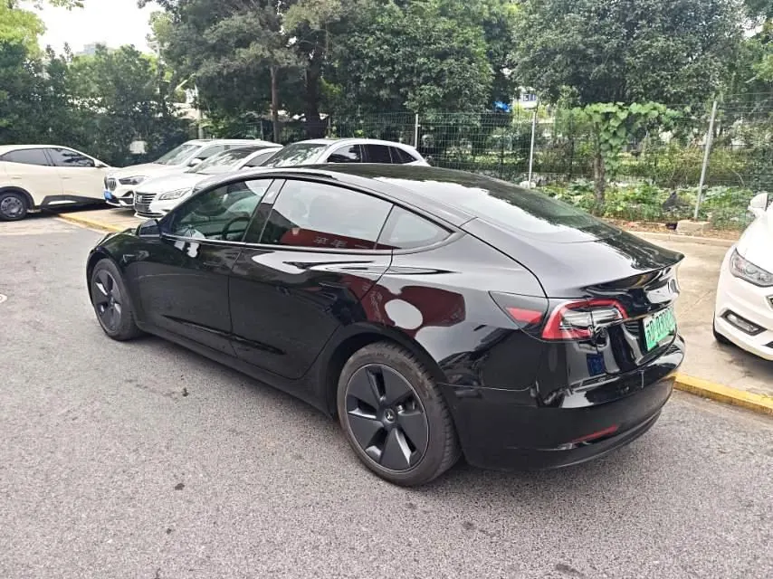 Tesla 2021 Model 3 Standard Endurance Rear Drive Upgraded Automatic Gear 3