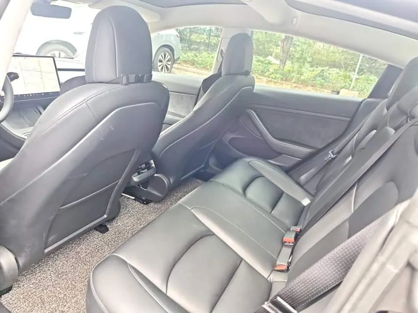Tesla 2021 Model 3 Standard Endurance Rear Drive Upgraded Automatic Gear 4