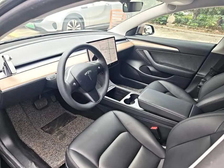 Tesla 2021 Model 3 Standard Endurance Rear Drive Upgraded Automatic Gear 5