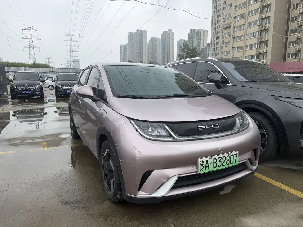 BYD 2021 Dolphins 405km Free Edition Automatic 3