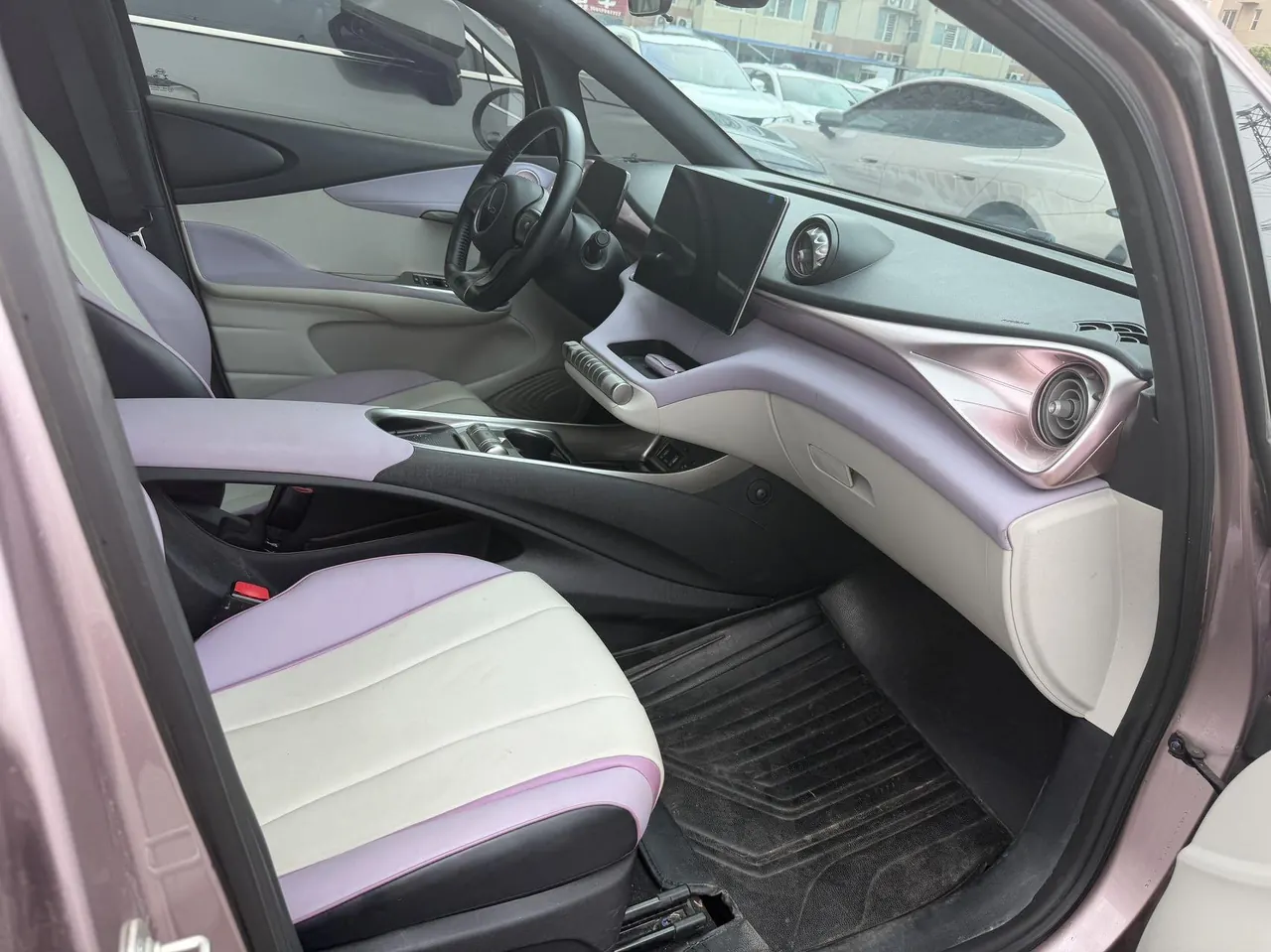 BYD 2021 Dolphins 405km Free Edition Automatic 4
