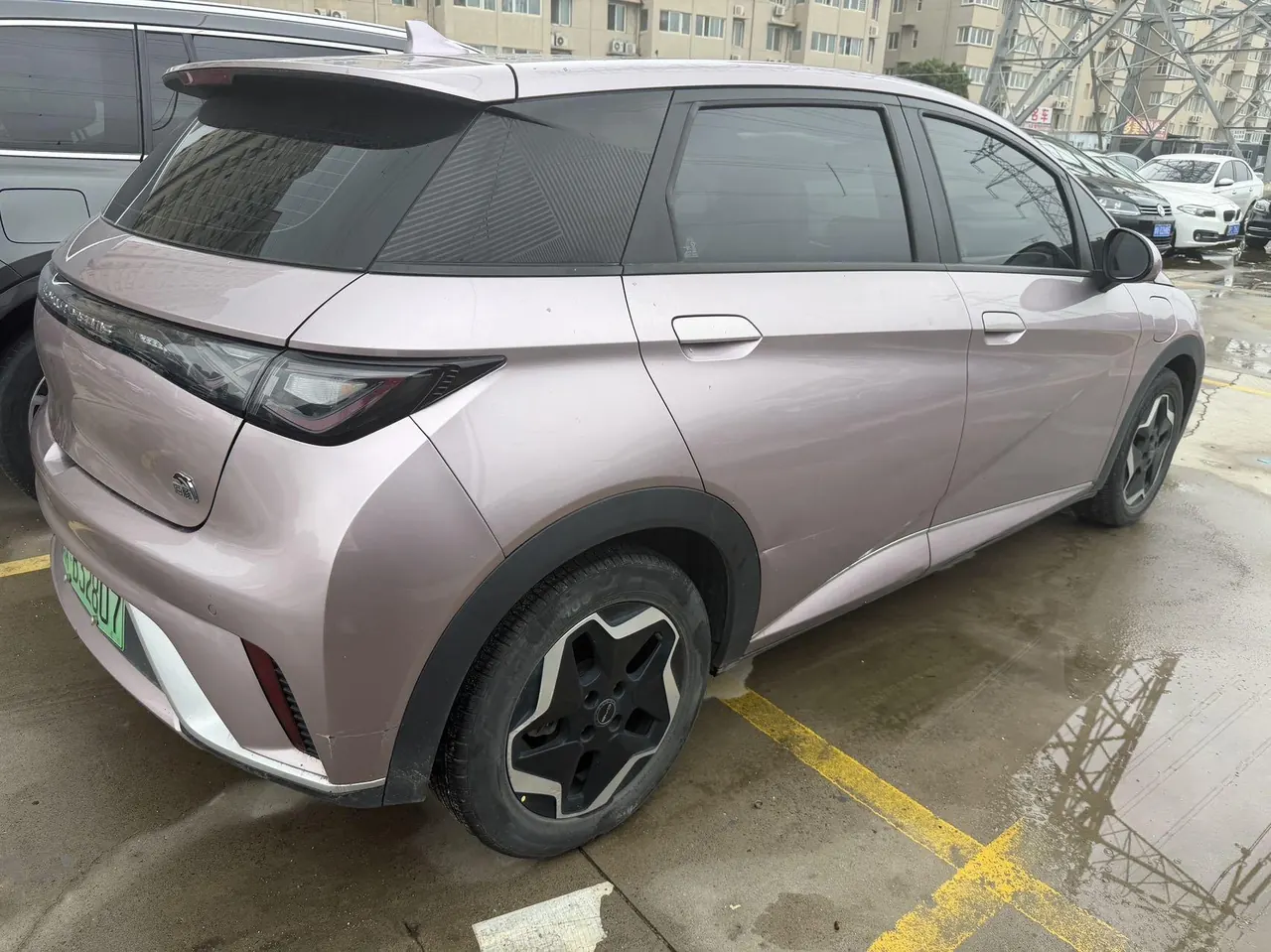 BYD 2021 Dolphins 405km Free Edition Automatic 7