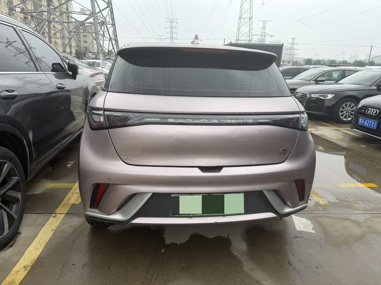 BYD 2021 Dolphins 405km Free Edition Automatic 8