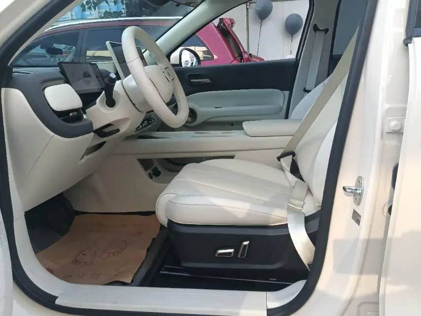 Ora 2026 Ora 5 480km Pro Edition Automatic Gear 4