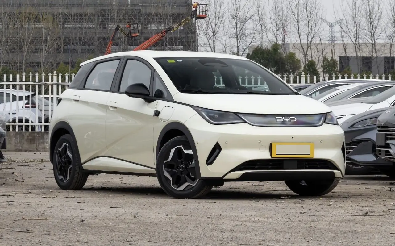 BYD 2025 Dolphin Smart Driving 420km Free Automatic 2