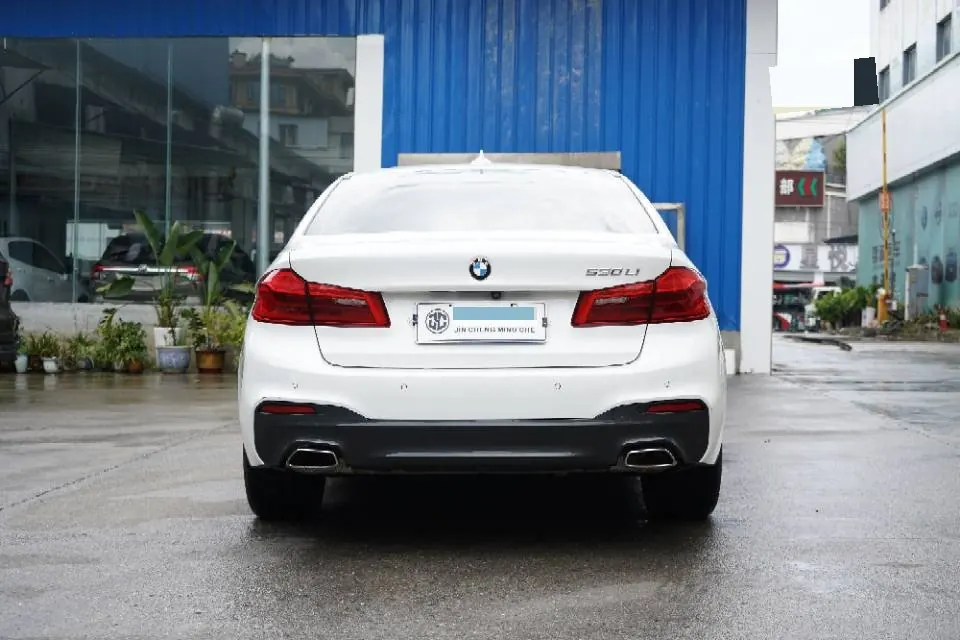 BMW 5 Series 2020 530Li 2.0T Leading M Sports Suit Automatic Gear 6
