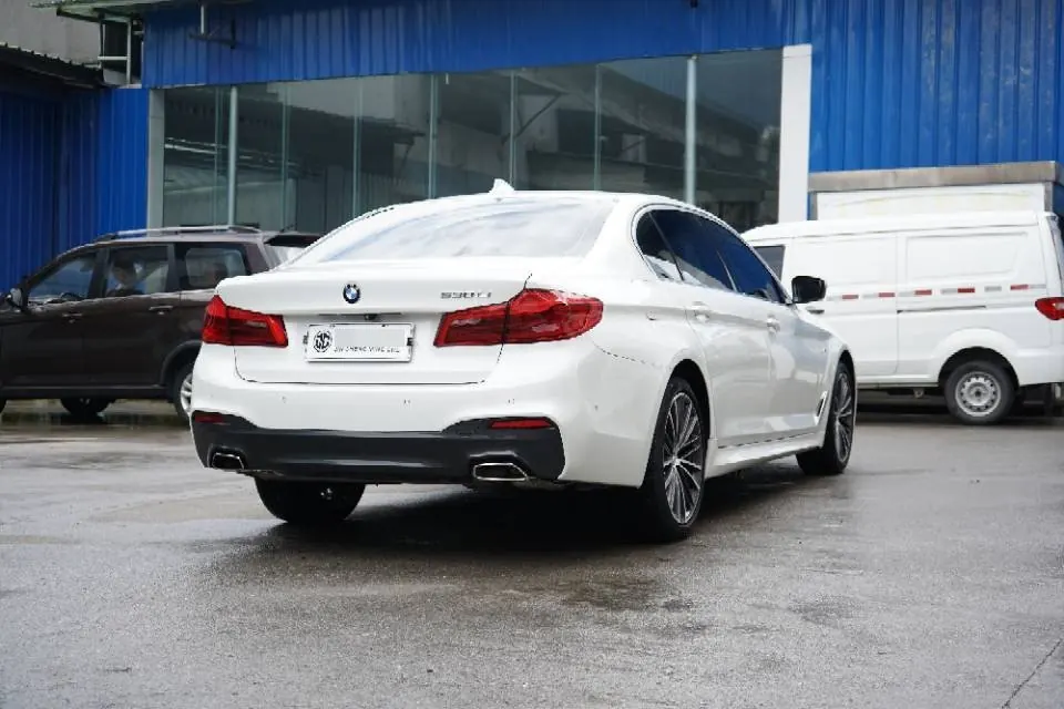 BMW 5 Series 2020 530Li 2.0T Leading M Sports Suit Automatic Gear 7