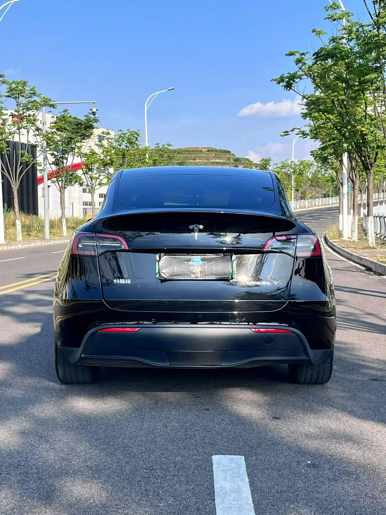 Tesla 2023 Model Y rear-wheel drive version automatic transmission 8