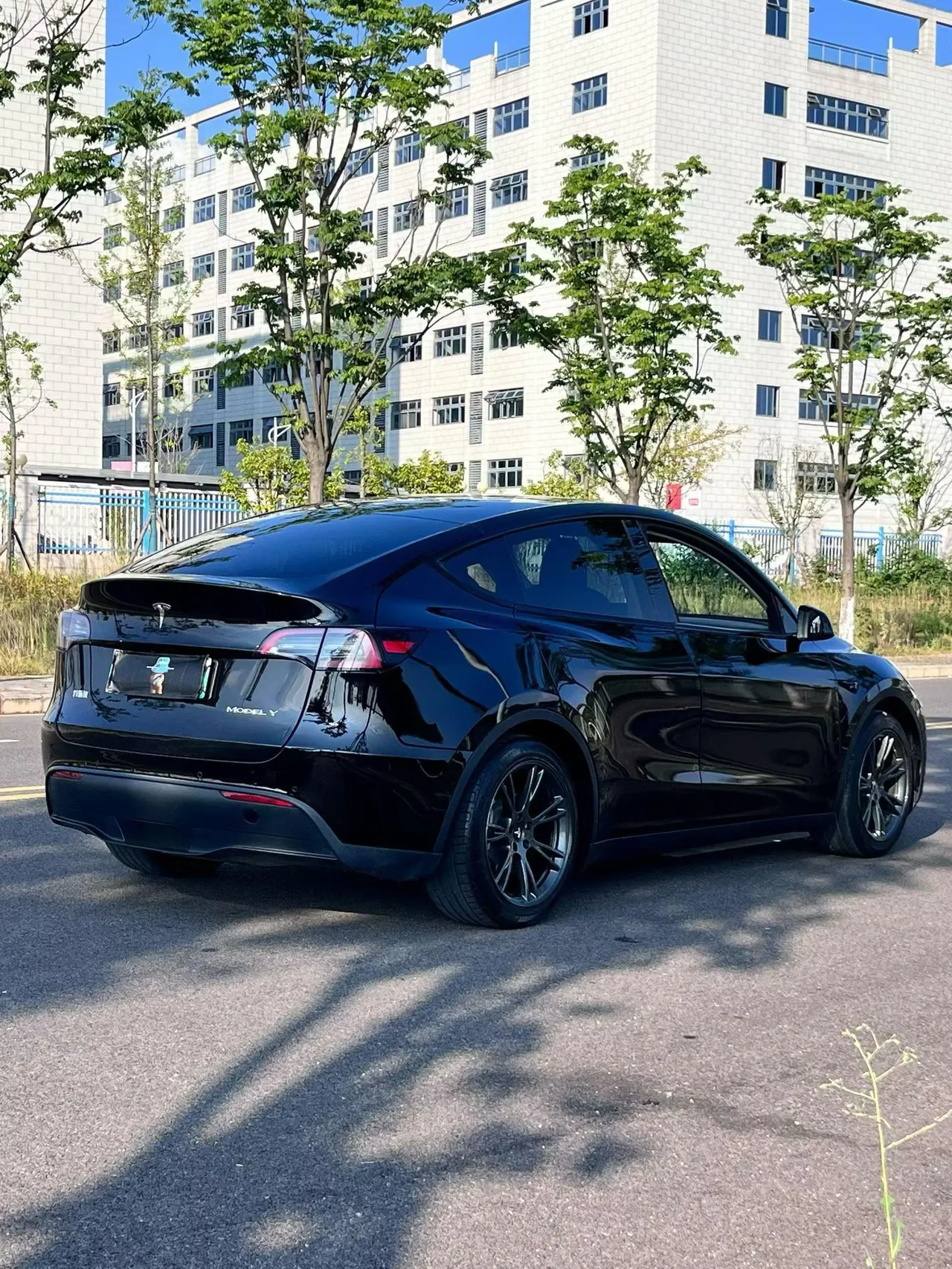 Tesla 2023 Model Y rear-wheel drive version automatic transmission 9