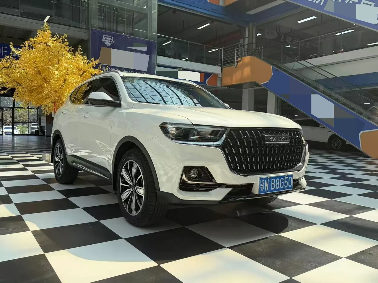 Haval 2023 H6 1.5T National Tide Champion Edition Automatic Gear 3