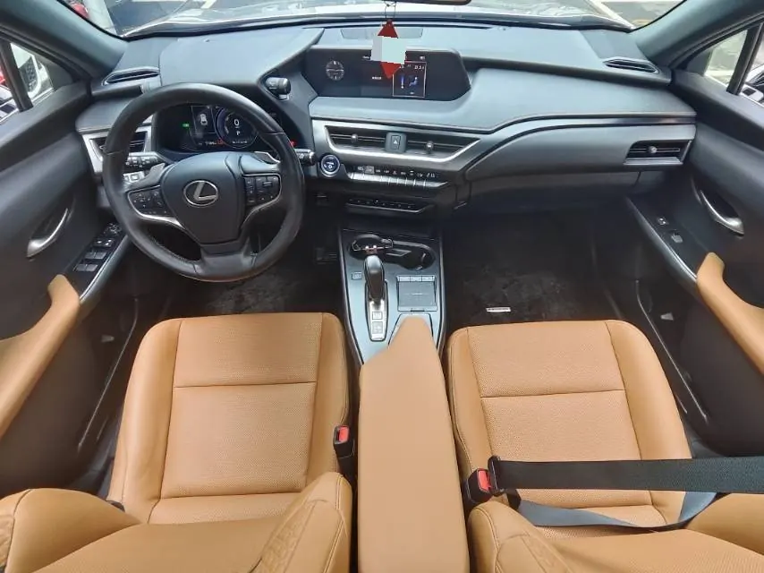 Lexus UX New Energy (Imported) 2020 UX 300e Pure Yue Edition Automatic Gear 4