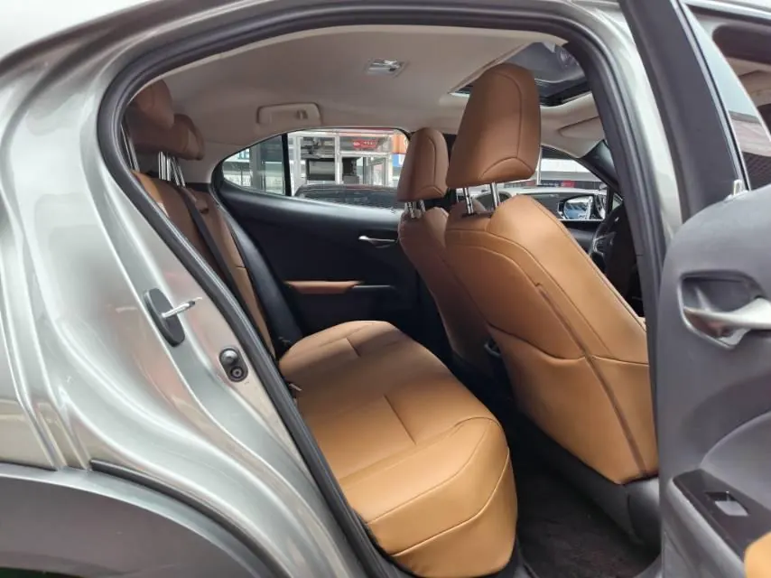Lexus UX New Energy (Imported) 2020 UX 300e Pure Yue Edition Automatic Gear 6