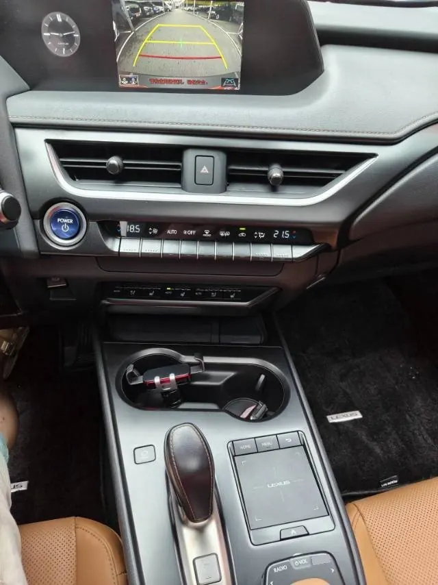 Lexus UX New Energy (Imported) 2020 UX 300e Pure Yue Edition Automatic Gear 8