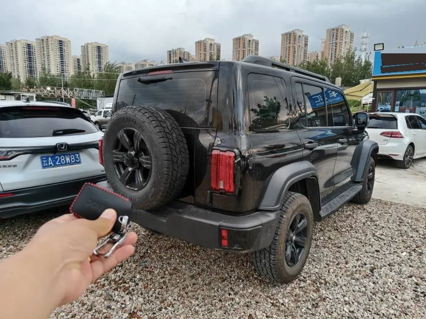 Tank 2025 Tank 300 2.4T Diesel Edition Automatic Gear 10