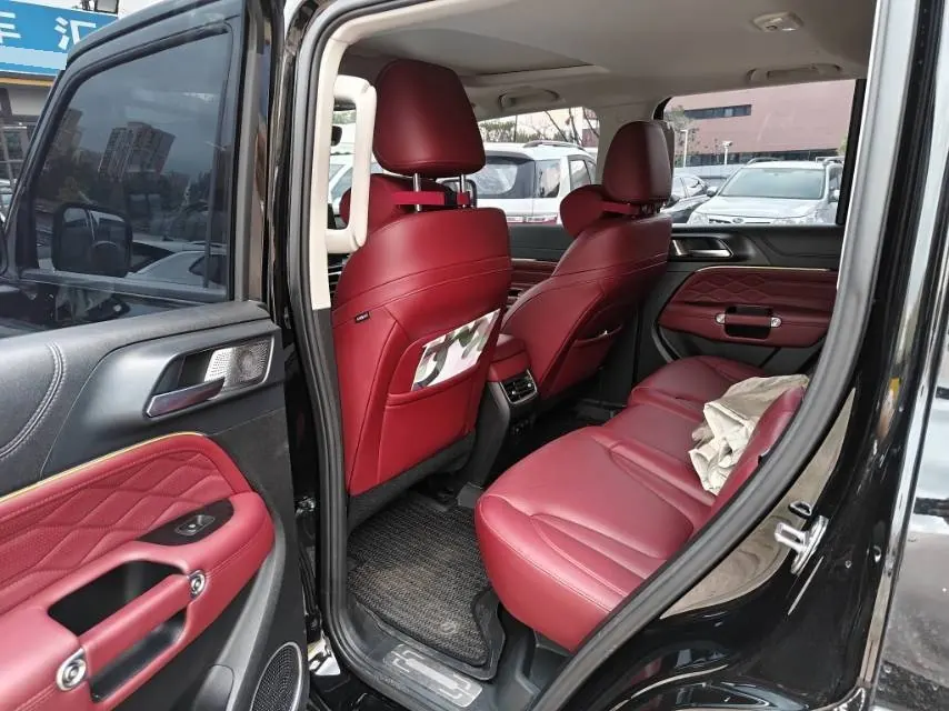 Tank 2025 Tank 300 2.4T Diesel Edition Automatic Gear 4