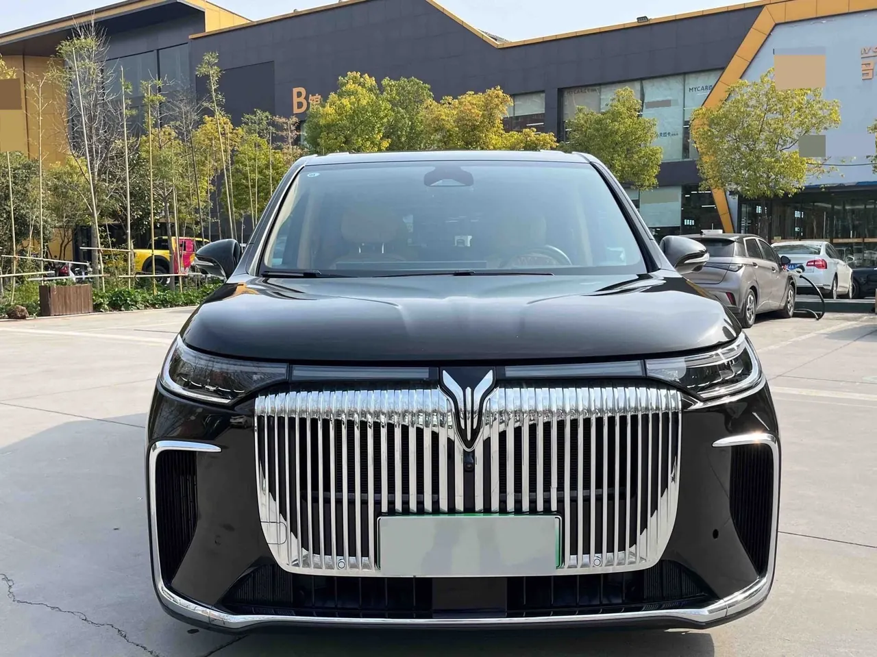 Voyah 2025 dreamers PHEV 1.5T four-wheel drive distinguished Kunpeng version automatic gear 2
