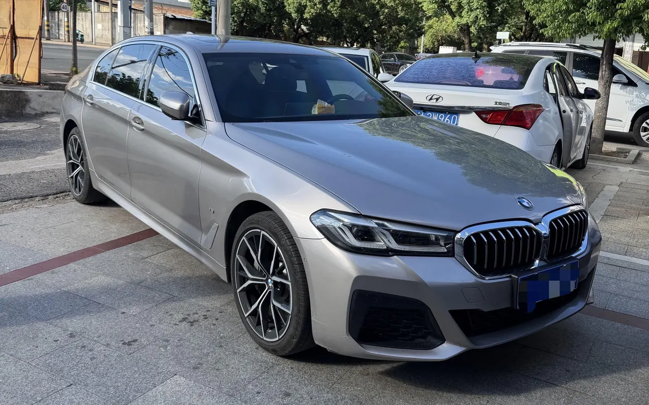 BMW 5 Series 2022 530Li 2.0T Premium Luxury Suit (Modified) Automatic Gear 2