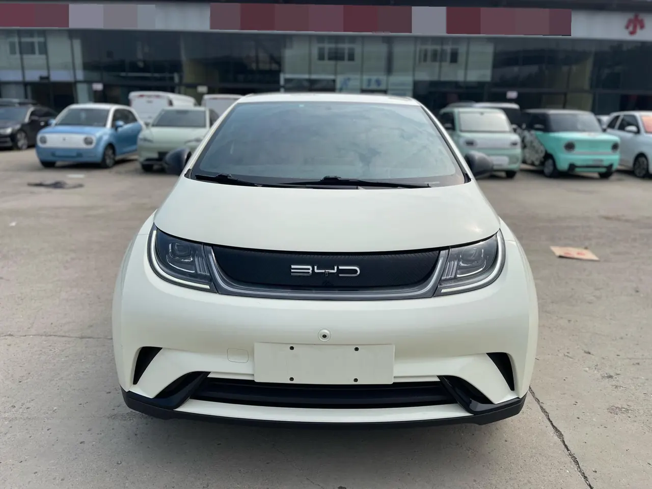 BYD 2021 Dolphin 405km Fashion Edition Automatic 2