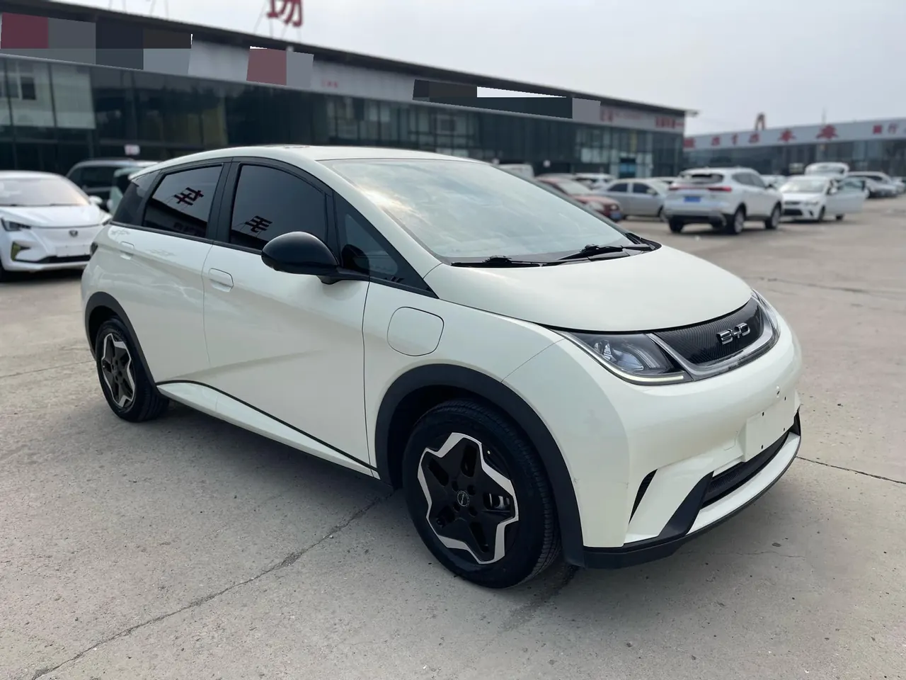 BYD 2021 Dolphin 405km Fashion Edition Automatic 3
