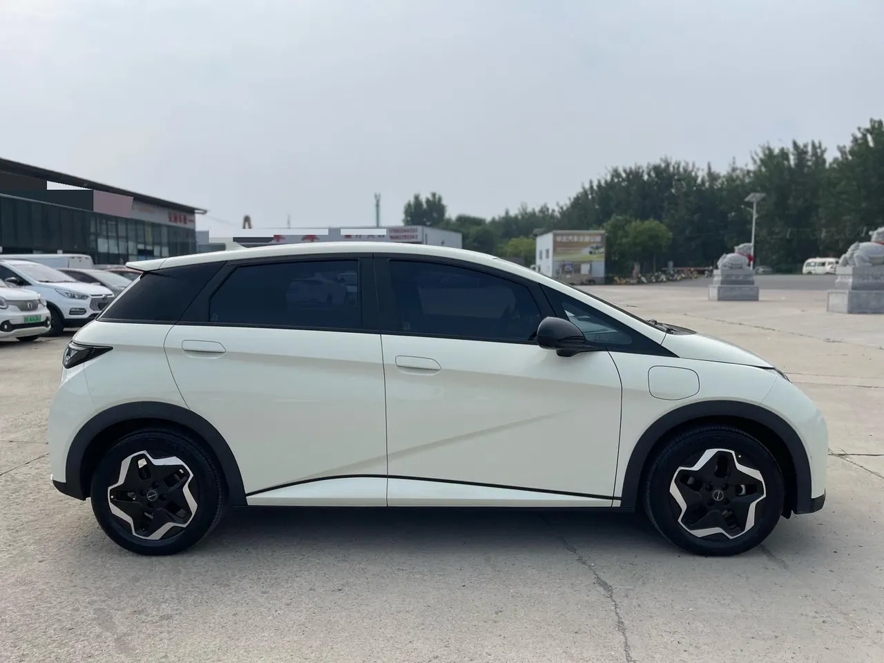 BYD 2021 Dolphin 405km Fashion Edition Automatic 4