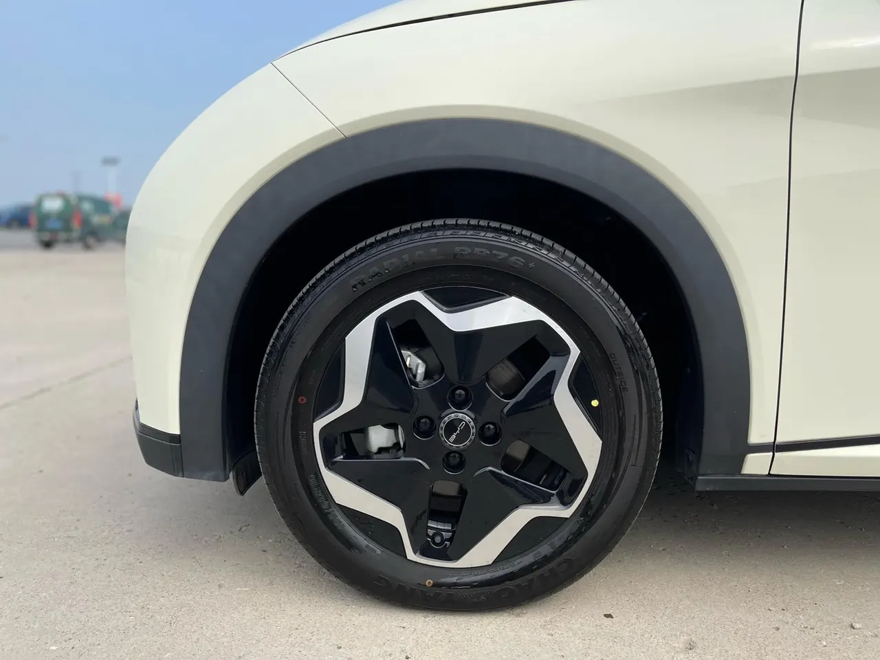 BYD 2021 Dolphin 405km Fashion Edition Automatic 9