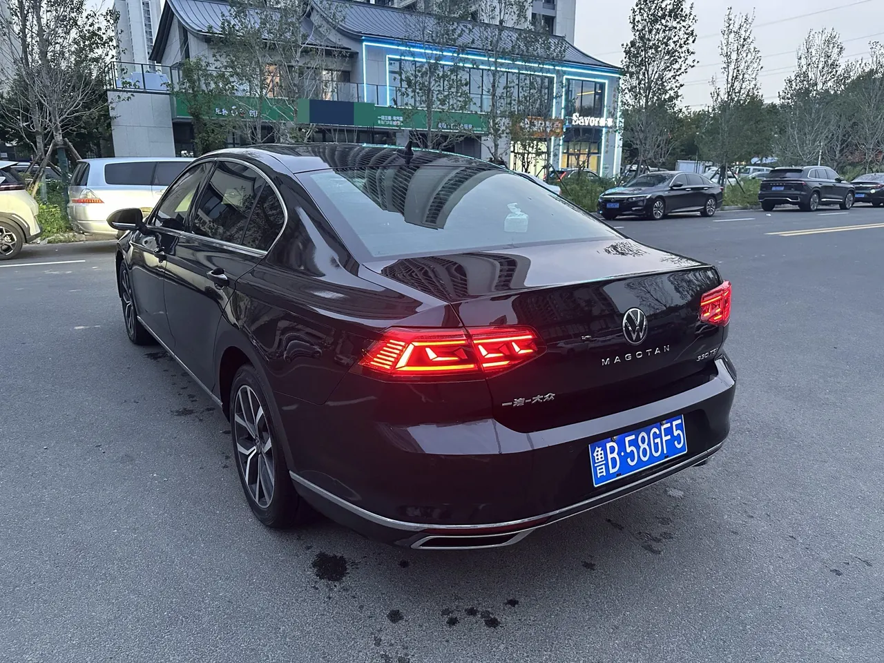 Volkswagen 2020 Magotan 2.0TSI 330TSI luxury automatic transmission 8