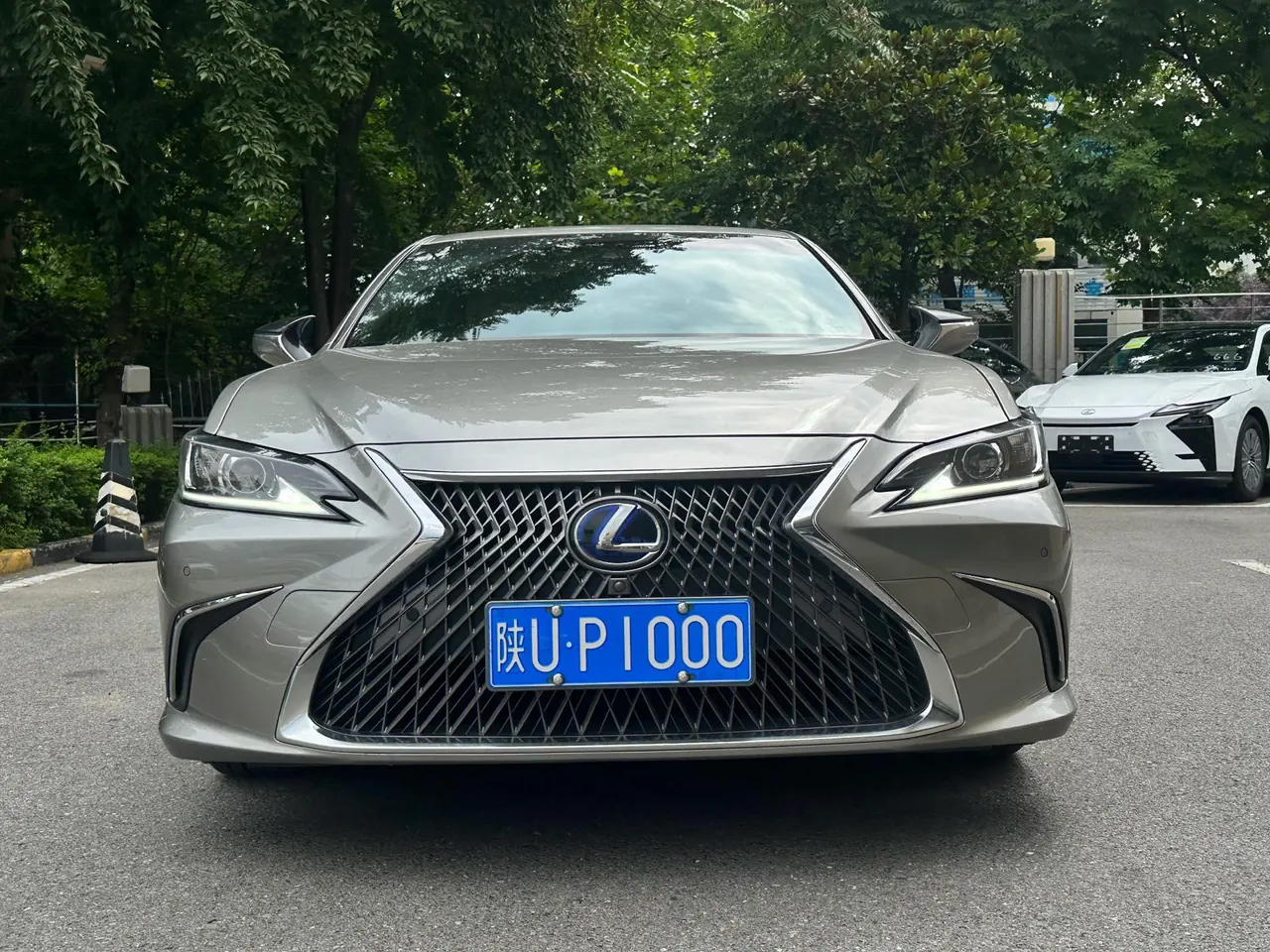 Lexus ES (Imported) 2020 ES300h 2.5 Stepless Excellence Edition Automatic Gear 2
