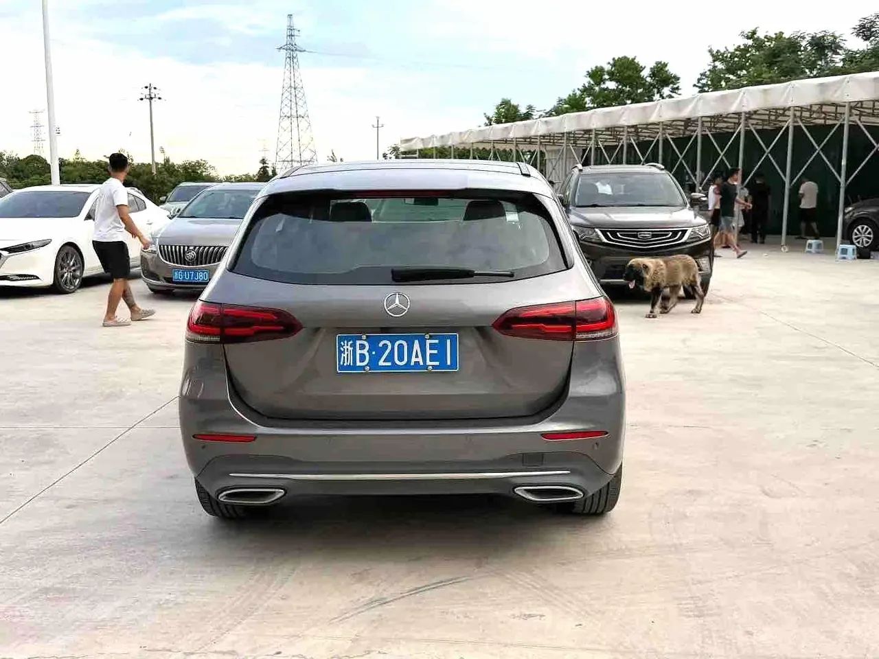 Mercedes Benz Class B (Imported) 2020 B 200 1.3T Dynamic Automatic 7