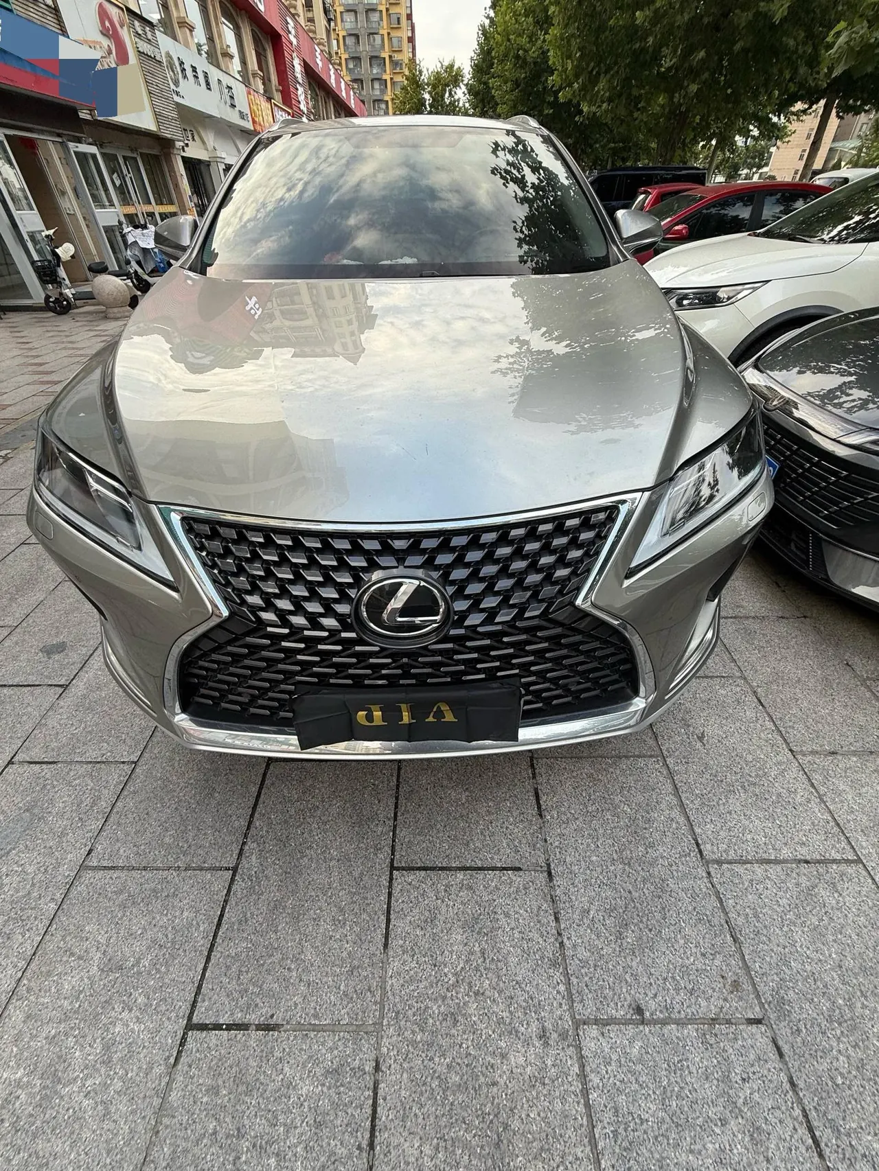 Lexus RX (Imported) 2020 RX300 2.0T Two-Drive Elite Automatic Gear 2