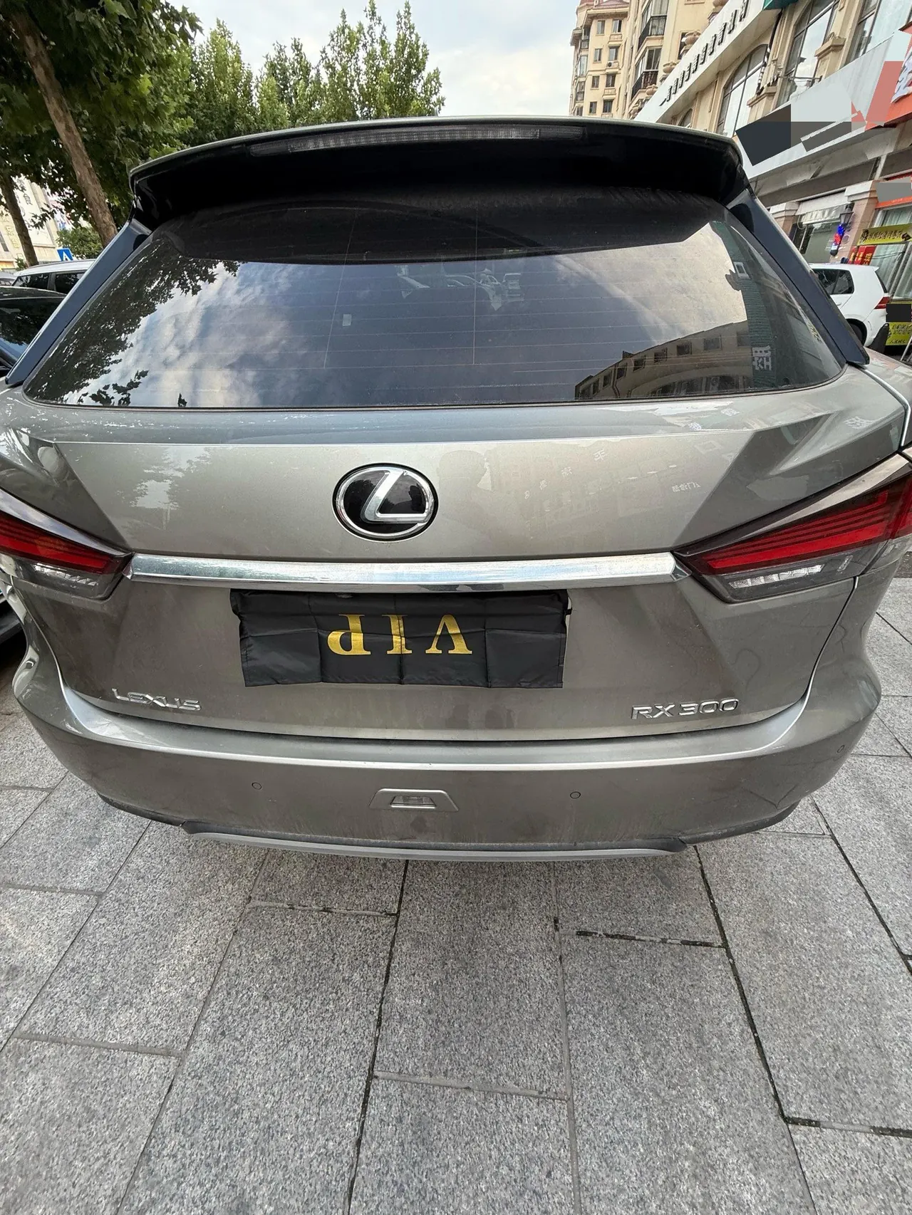 Lexus RX (Imported) 2020 RX300 2.0T Two-Drive Elite Automatic Gear 3