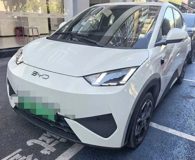 Open image lightbox: BYD 2025 Seagull Smart Driving Edition 305km Free Edition Automatic Gear