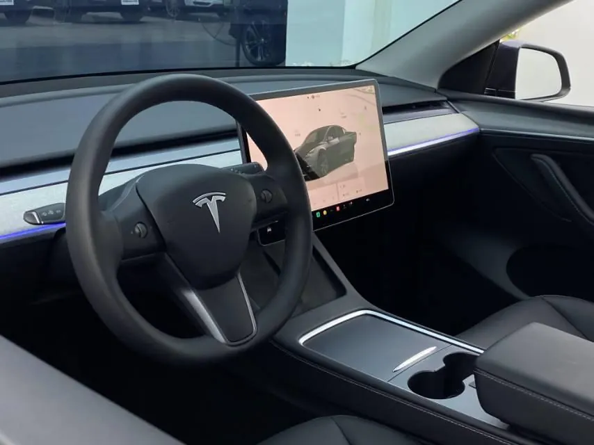 Tesla 2024 Model Y rear-wheel drive version automatic transmission 12