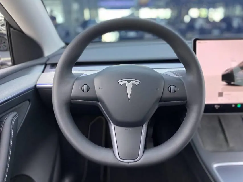 Tesla 2024 Model Y rear-wheel drive version automatic transmission 8