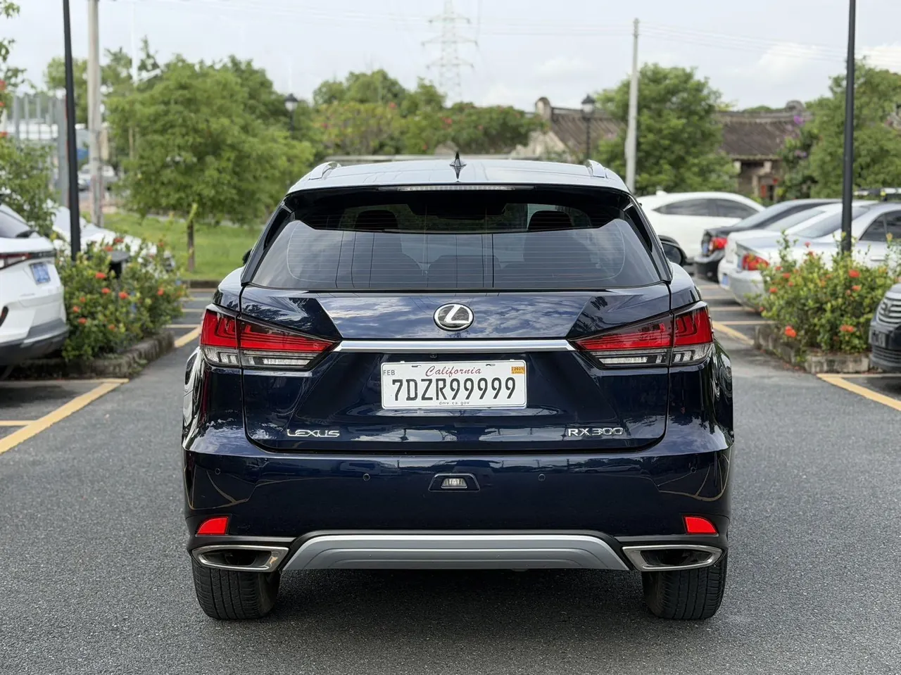 Lexus RX (Imported) 2020 RX300 2.0T Two-Drive Comfort Edition (Modified) Automatic Gear 8
