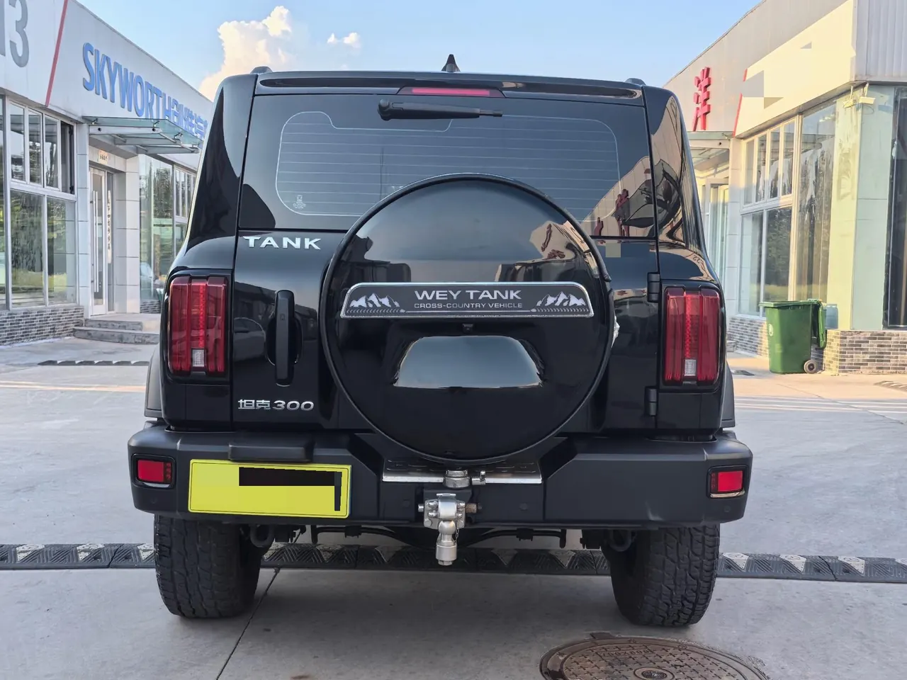Tank 2021 Tank 300 2.0T Off-road Conqueror Automatic 10