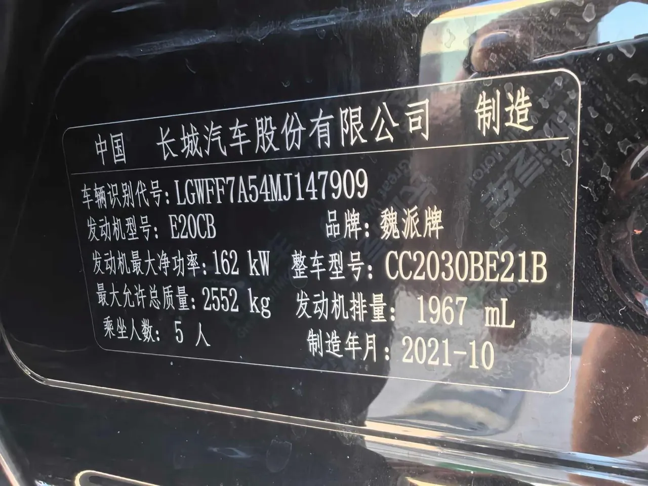 Tank 2021 Tank 300 2.0T Off-road Conqueror Automatic 14
