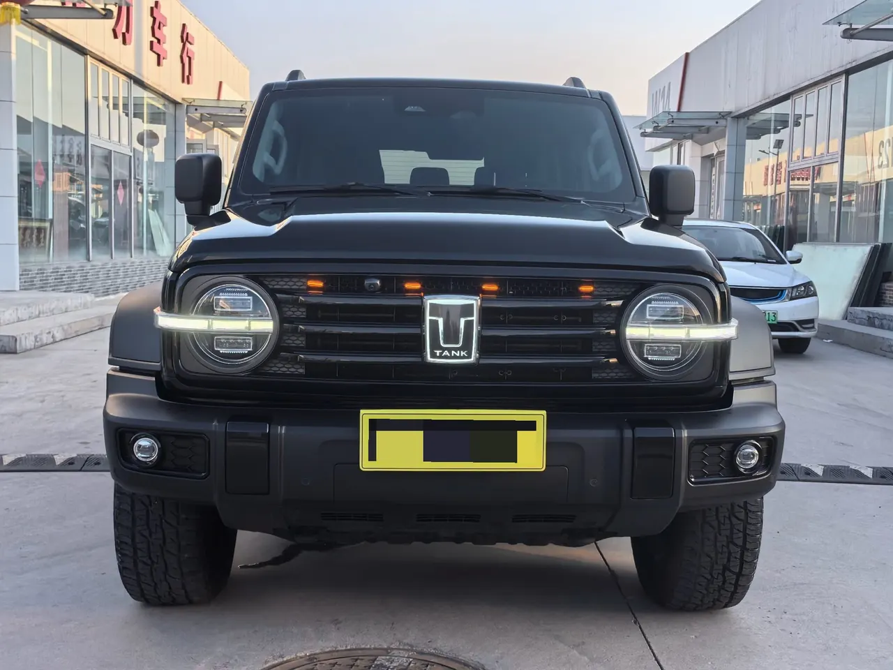 Tank 2021 Tank 300 2.0T Off-road Conqueror Automatic 2