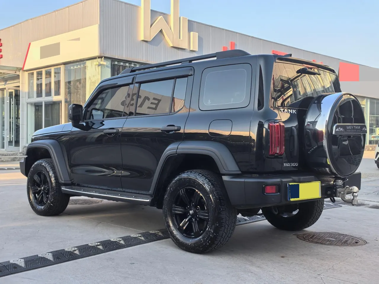 Tank 2021 Tank 300 2.0T Off-road Conqueror Automatic 9