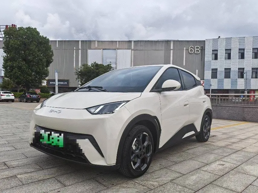 Open image lightbox: BYD 2025 seagulls 305km free version automatic gear