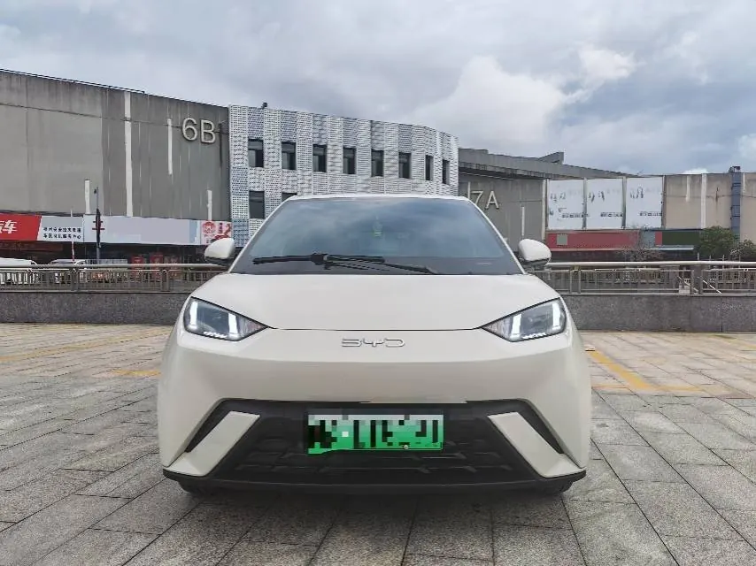 BYD 2025 seagulls 305km free version automatic gear 2