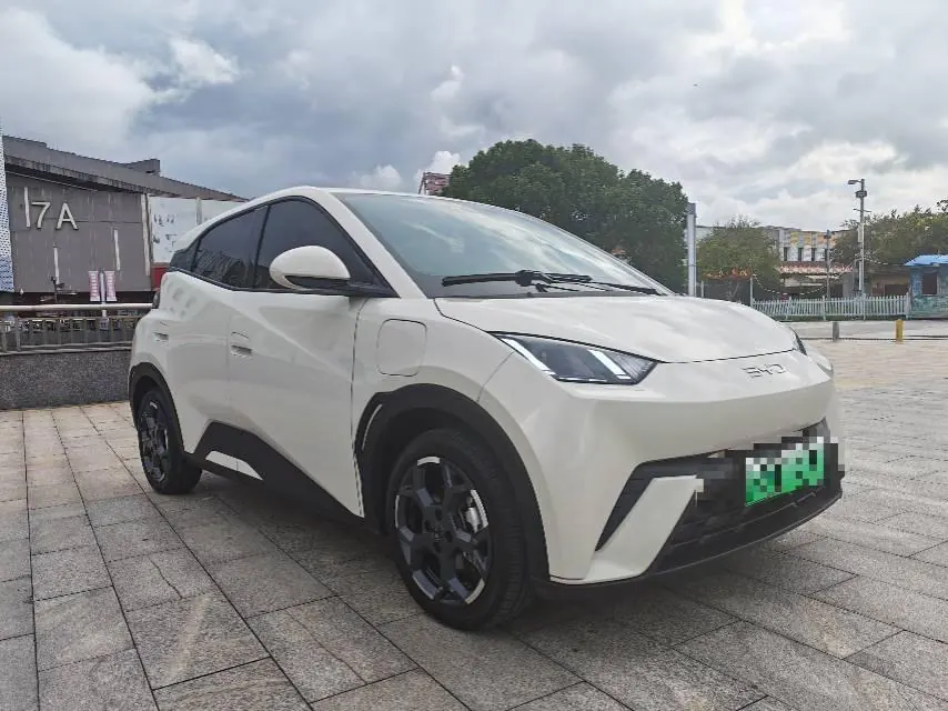 BYD 2025 seagulls 305km free version automatic gear 3