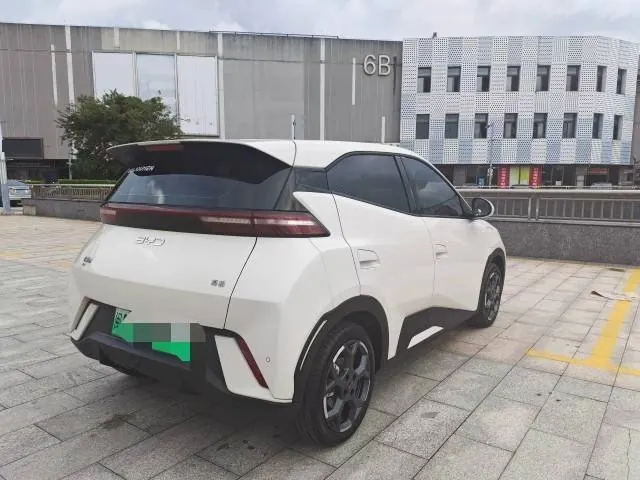 BYD 2025 seagulls 305km free version automatic gear 5