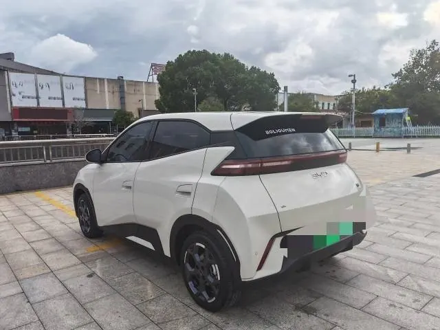 BYD 2025 seagulls 305km free version automatic gear 6